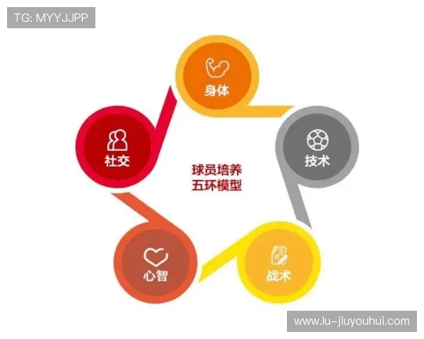 高端足球测评软件深度评测 让技术数据助力球员成长与战术分析